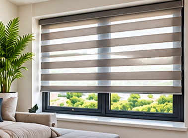 Window Blinds